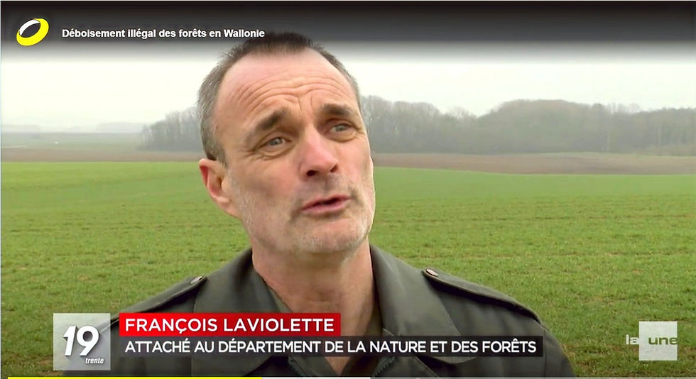 https://www.rtbf.be/auvio/detail_deboisement-illegal-des-forets-en-wallonie?id=2597534&jwsource=cl