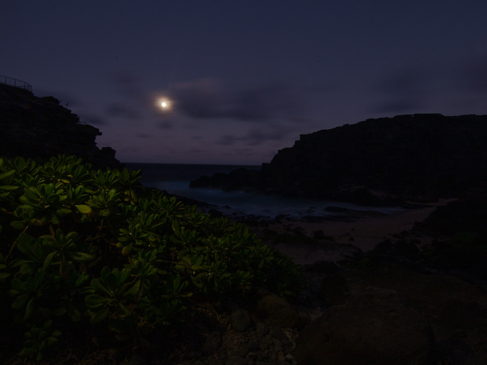 The movie "From here to Eternity" was filmed here giving this beach it's name. I think the highlighting of the Naupaka plants, here, and stretching to the Moon, Eternity, is fitting.