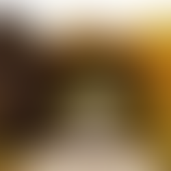 Welcome to our New Website! 