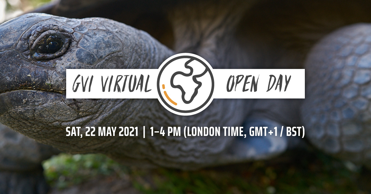Join us online on 22 May to honour immersive and meaningful travel experiences. content media