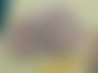 September: New Arrivals For A New School Year