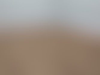 Piso de PVC Carvalho Montreal