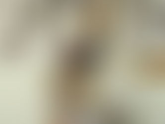 ZLATKO KRSTEVSKI JE MULTIMEDIJALNI BODI-BILDER!