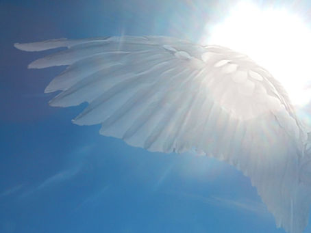 Are You Failing Or Flying?