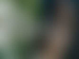 Line of Sight short film review