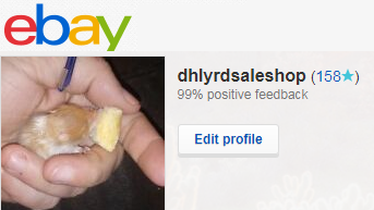 Shop With Me!