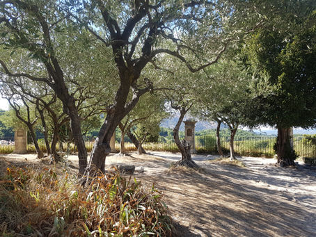 Une petite dernière ! avant la cx du Ban