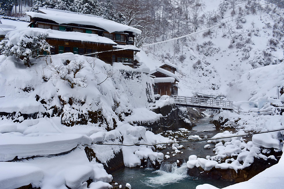 Must do - Activities in Japan
