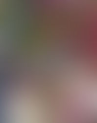 Poesia, salvadora de almas