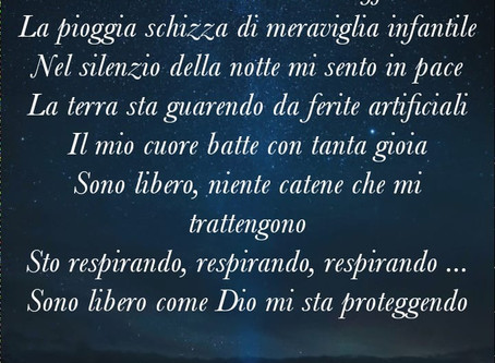 Alzo lo sguardo...