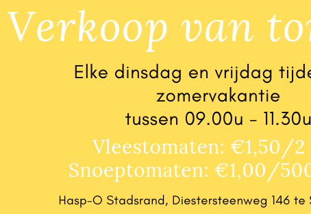 Tomatenverkoop tijdens zomervakantie