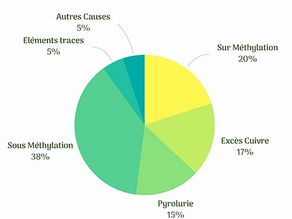 Les 5 Biotypes de la Dépression