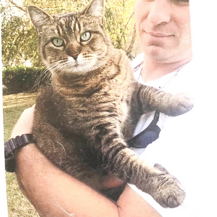 Cat trapped and dumped by crazy neighbor.