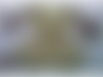 Интересные аппликации из крупы своими руками для детей