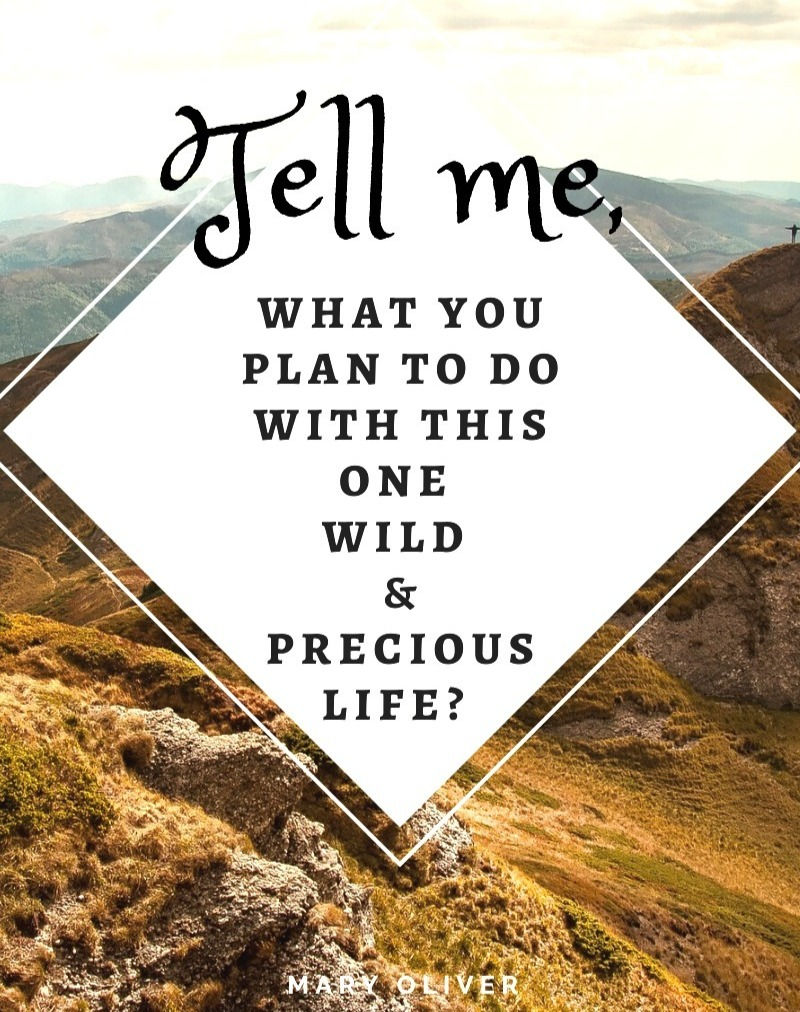 Mary Oliver Quote about life