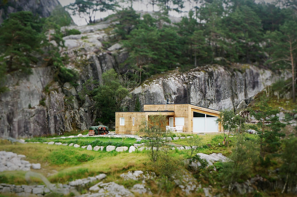 Longhammaren hyttefelt IV