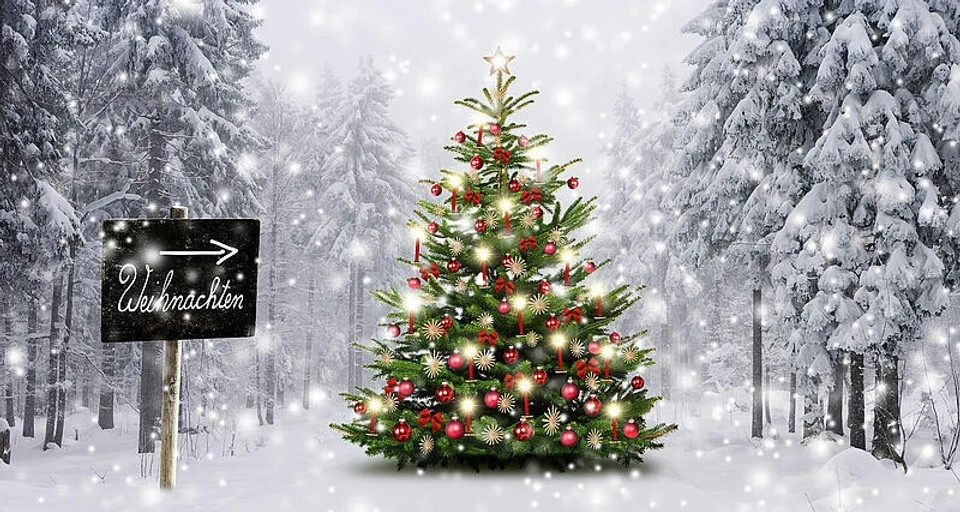 Gedanken Zu Weihnachten Hoch Sensibel Ch