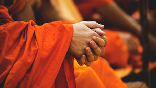 MEDITATION — TRAINING OUR ATTENTION