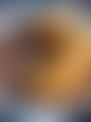 The Best Red Beans and Rice