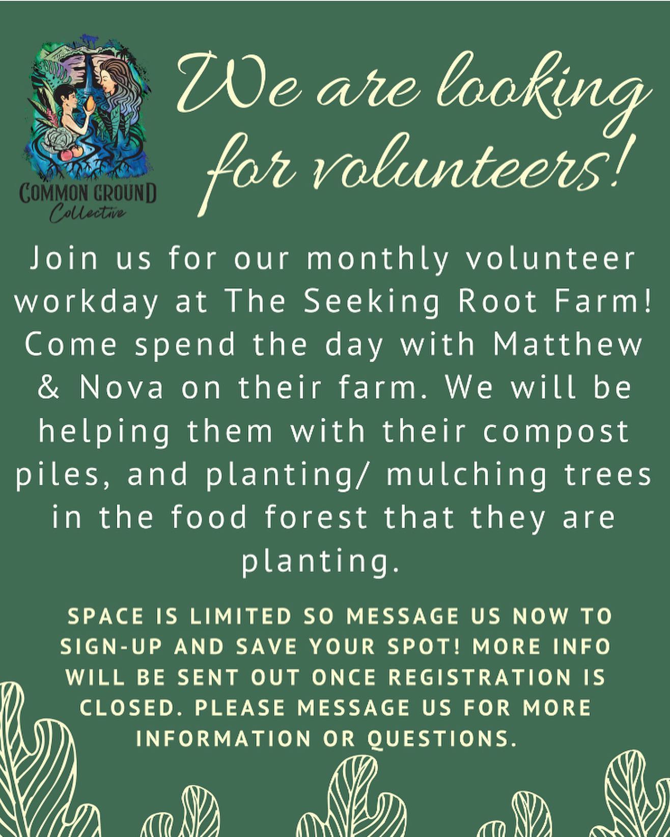 Sunday, Jan. 26th 1-5pm ~ The Seeking Root Farm content media
