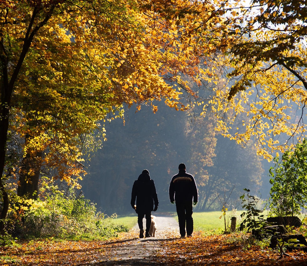 Father and son walking the dog in park during Autumn: The Parents' Guide to