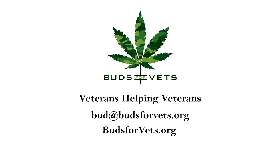 Buds for Vets Fights Restrictions on Medical Cannabis in Florida