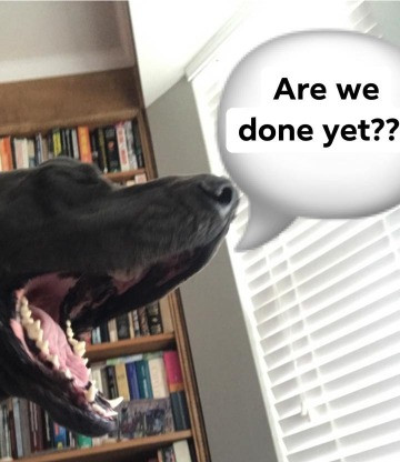 Wallpaper 3 Tips To Cope With The Dog Days Of Quarantine Free