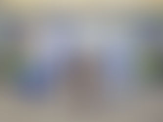 EN CONGRESO INFANTIL, APRUEBAN MOCIÓN DE DIPUTADA ISLEÑA.