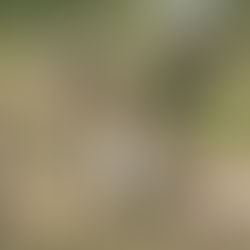 An Experience Money Can't Buy