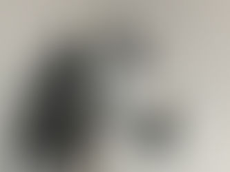 New SPECIAL EDITION Midwinter Metallic Fleeced Halters!