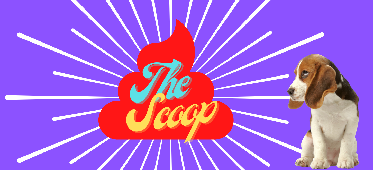The Scoop on Potty Training content media
