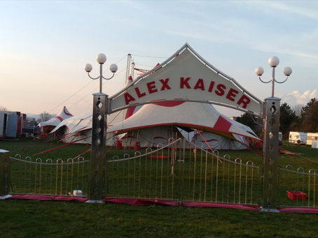 Am meisten leiden die, die  vom täglichen Geschäft leben: Hilf dem Zirkus in Enns