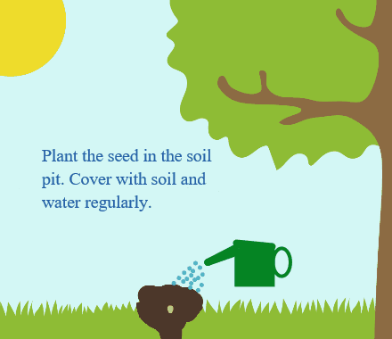 Kavan's wonderful life cycle of a plant animation (3B)