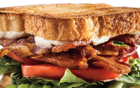 Confessions of a Researcher: How I found happiness, time efficiency, and novelty through BLT