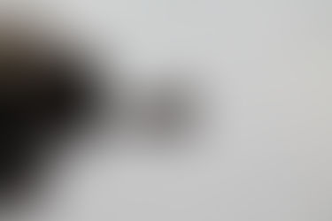 Life with the Zoom Lens On - Let's Focus on Peace and Tranquility