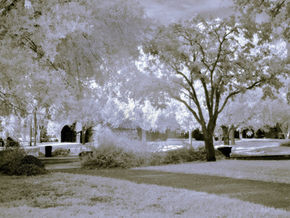 White-out conditions in Florida