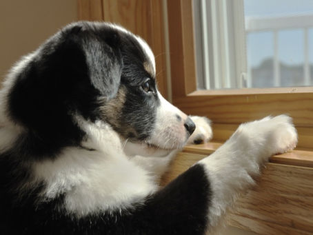 Please Don't Leave Me!