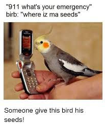 want som seed