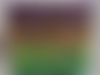 A Hint of Gold Garden Journal