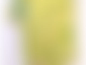 All Trees Great and Small: a walk with Christopher Howard in the Castle Park