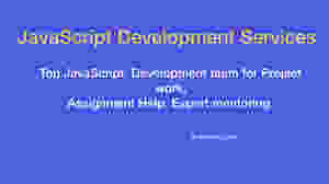 JavaScript Development team for project, Assignment Help