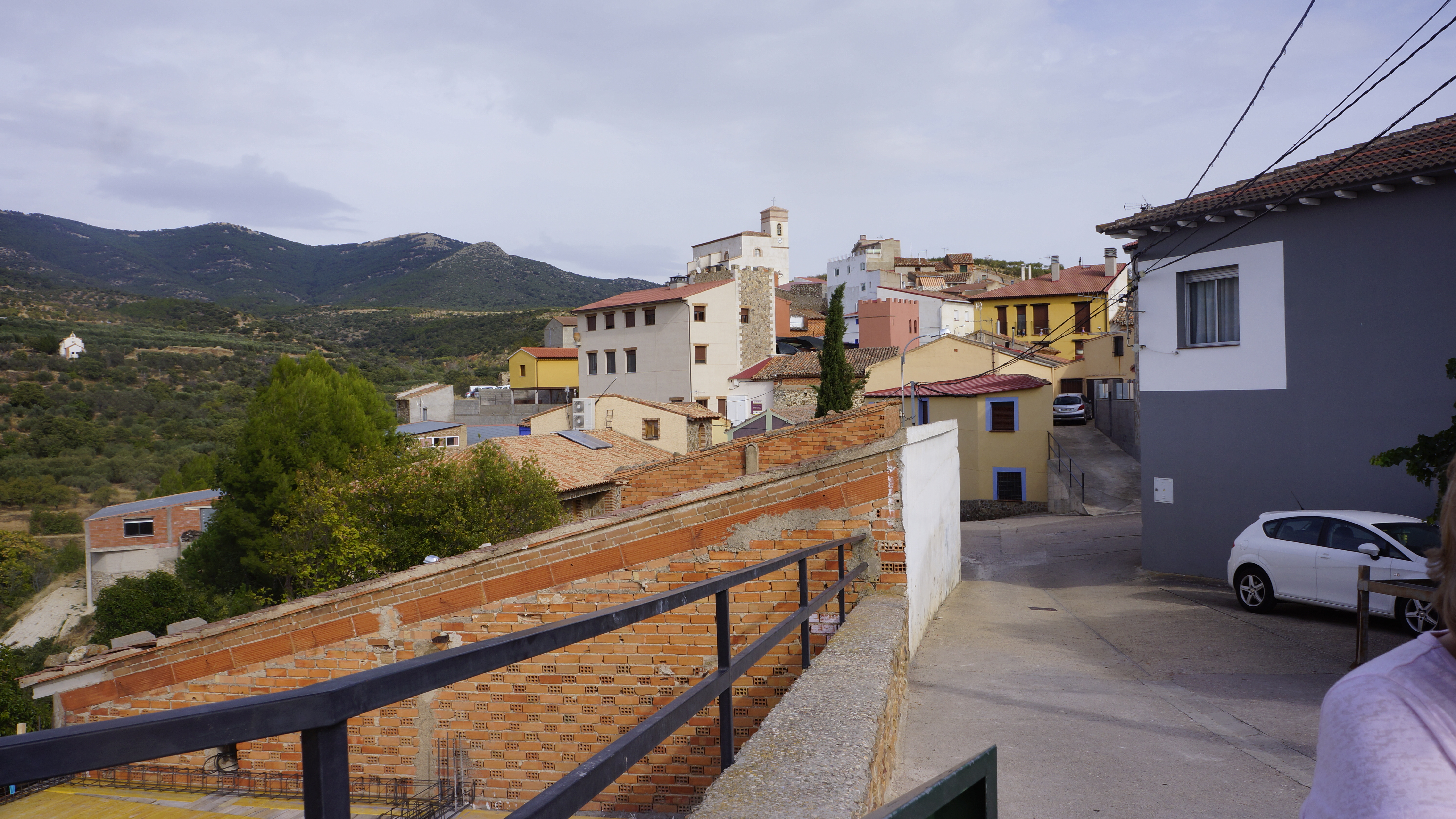 Sin pino. Unos salvajes de la naturaleza nos han quitado el pino más bonito de mi pueblo. Para hacer un albergue. content media