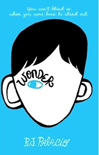 Cover of the book "Wonder" that contains an illustration of a face with only one eye drawn on it. The word "wonder" is written on top of this eye.