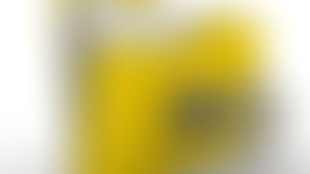 Challenging The Regime Of National Security Laws and RTI in light of Tshwane Principles