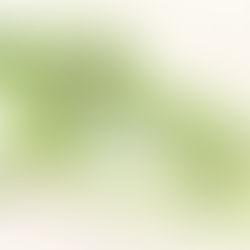 EL GHIBLI PARK ABRIRÁ MUY PRONTO