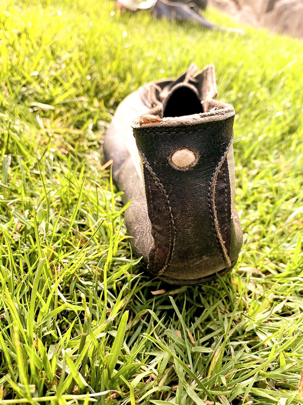 Alternative materials were beginning to be used to distinguish design.