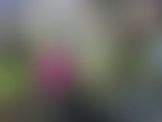 Salmon Berry Blossom