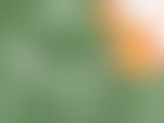 10月のカレンダーです