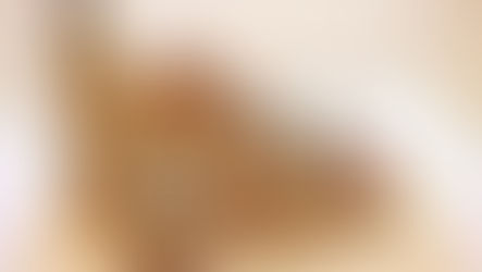 Temple of Lord Rama will be in 10 Acres Land