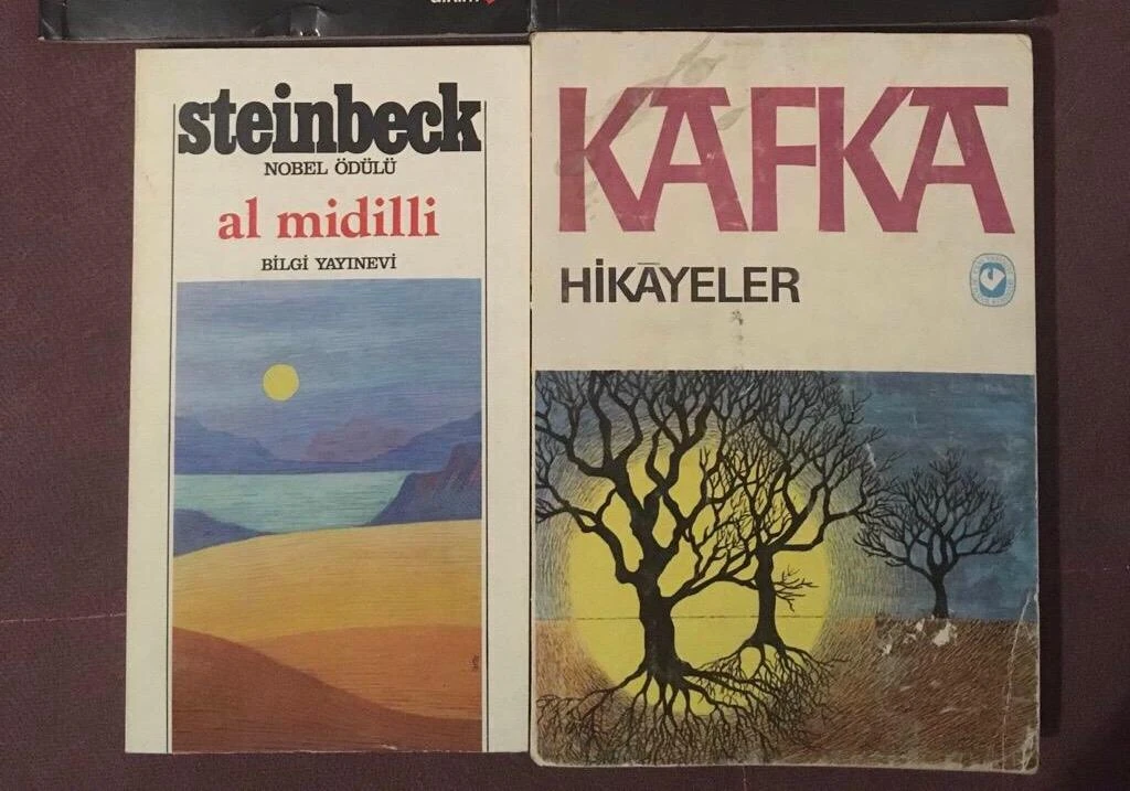 Meraklisina Sahaflardan Alinan Eski Basim Kitaplar Turk Isi Minimalizm